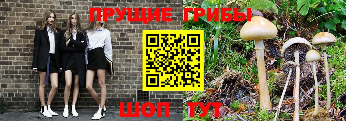 Псилоцибиновые грибы Psilocybine cubensis  Вход с VPN  Рузаевка 