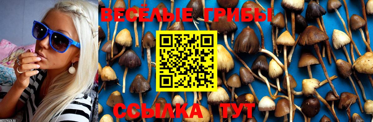 Псилоцибиновые грибы Cubensis Рузаевка